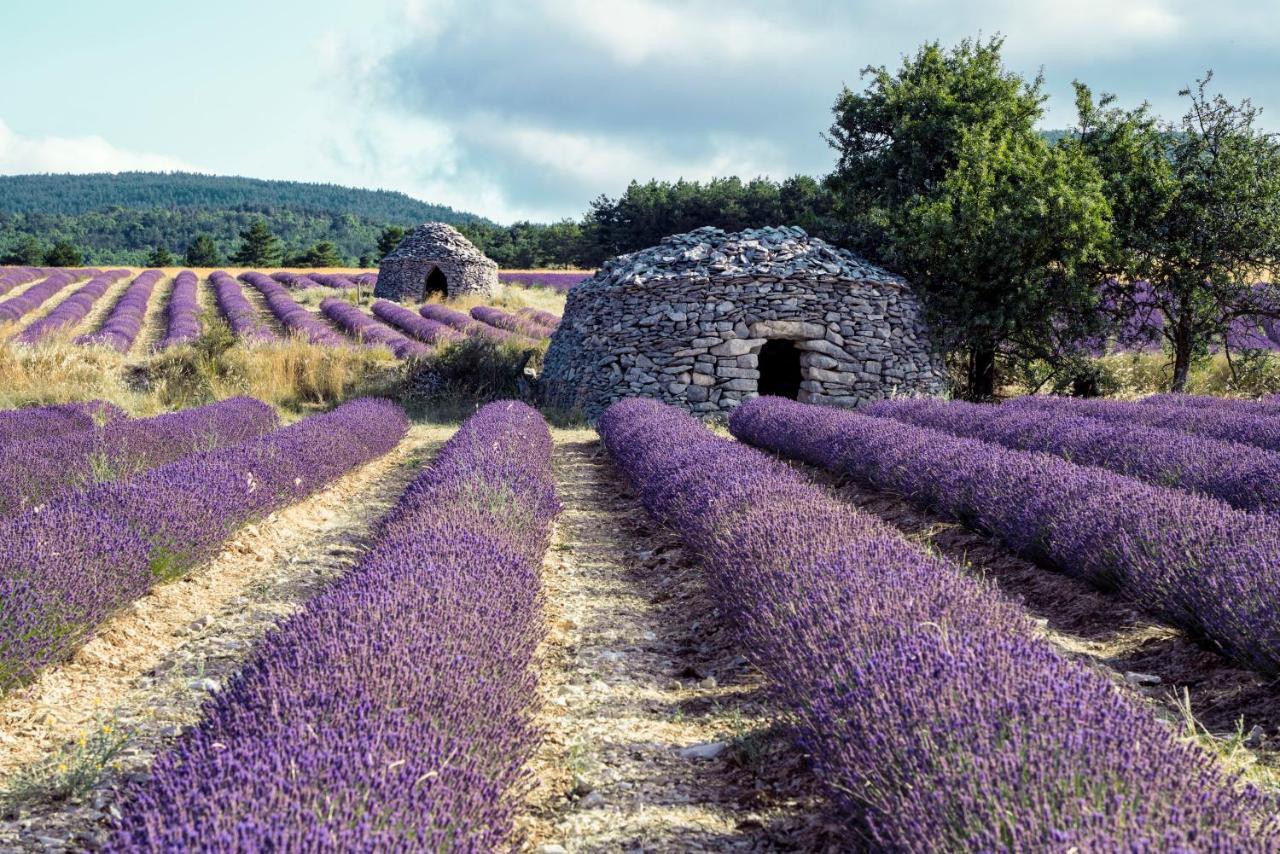 Gite La Bastide De La Loge Au Pied Du Mont Ventoux Sault-de-Vaucluse Buitenkant foto